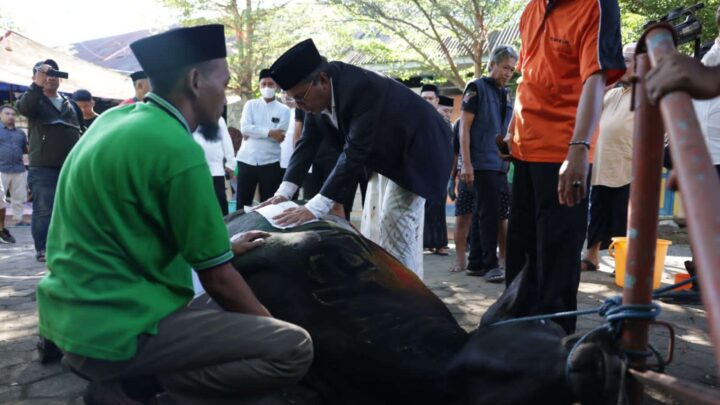 wali kota makassar