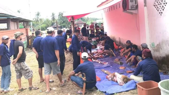Suasana Pemotongan Hewan Kurban di Masjid Nurul Jihad Desa Paojepe Wajo masjid nurul jihad