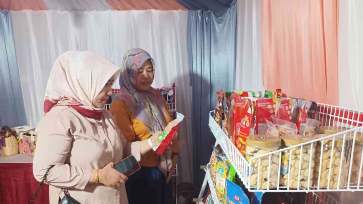 TP PKK Makassar Ramaikan Produk UMKM F8 dengan Olahan Kripik, Abon Hingga Kerajinan Eceng Gondok pkk makassar
