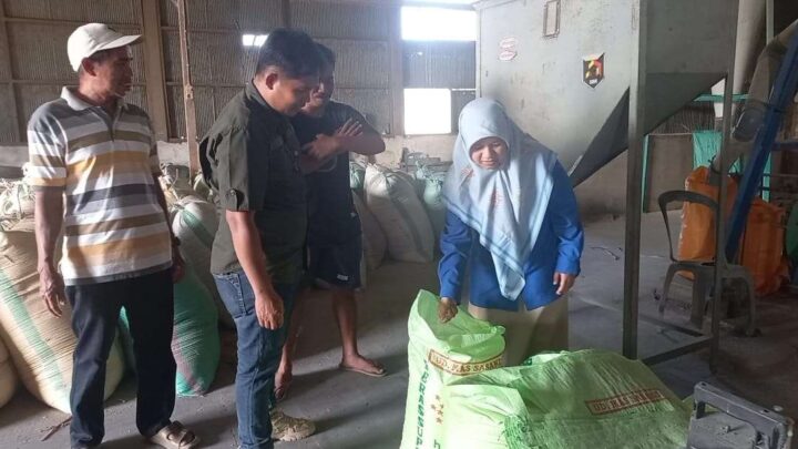 Petani Bone