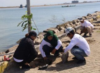 pelindo regional 4 makassar