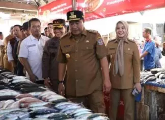 pj gubernur sulsel