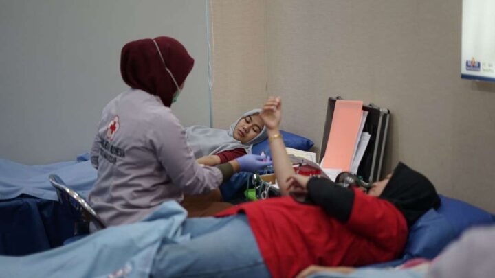 Chelsea Indonesian Supporters Club Makassar Gelar Donor Darah donor darah