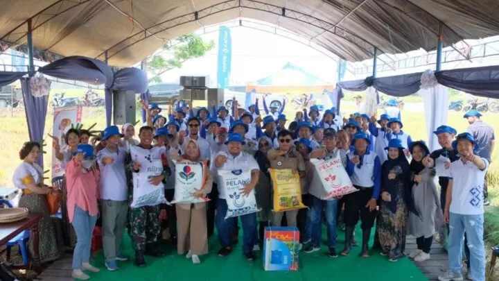 Program Makmur Pupuk Kaltim Dongkrak Hasil Padi Pinrang hingga 9,1 Ton Per Hektare program makmur