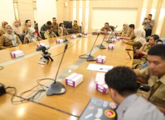 program smart city
