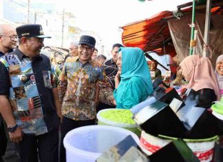 pj gubernur sulsel
