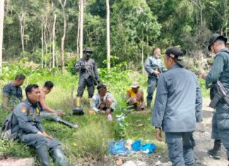 gakkum klhk