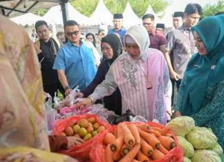 tp pkk makassar