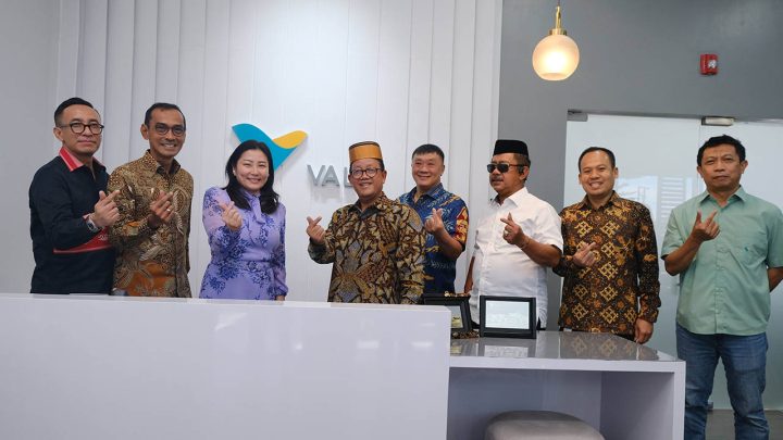 divestasi vale