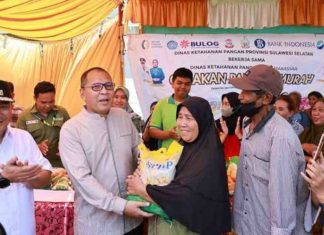 pj gubernur sulsel