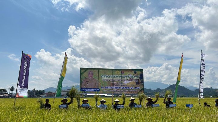 pupuk Kaltim