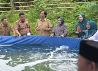 tp pkk kota makassar