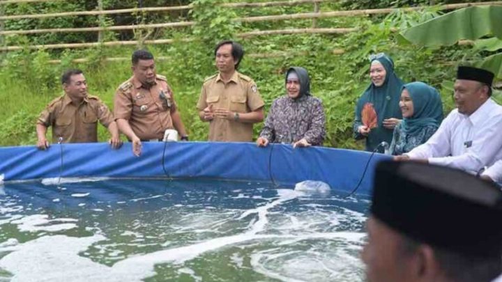Ketua TP PKK Kota Makassar Tebar Benih Udang Vaname di Tanjung Merdeka tp pkk kota makassar
