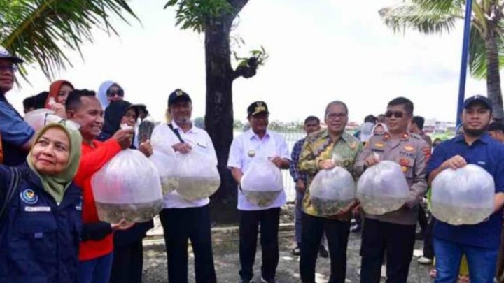 wali kota makassar