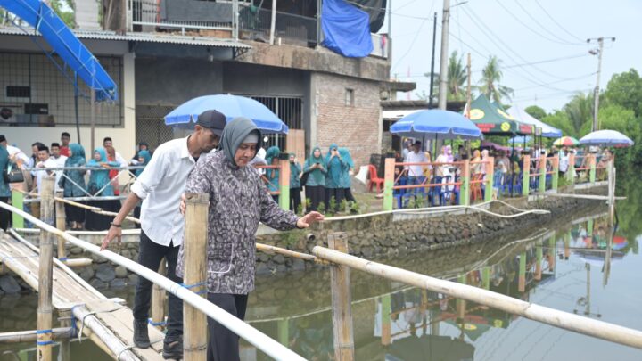 Tingkatkan Kesejahteraan Masyarakat, Ketua TP PKK Kota Makassar Tebar Benih Udang Vaname kesejahteraan masyarakat
