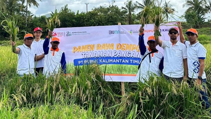 Produksi padi Bone