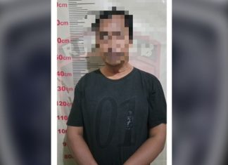 pelaku pencurian dan penipuan
