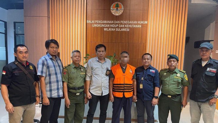 Penyidik Gakkum KLHK Sulawesi Limpahkan Berkas Perkara Kayu Ilegal ke Kejari Bantaeng gakkum klhk sulawesi