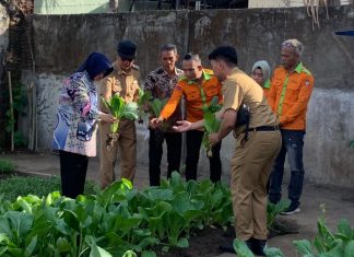 ketua tp pkk makassar