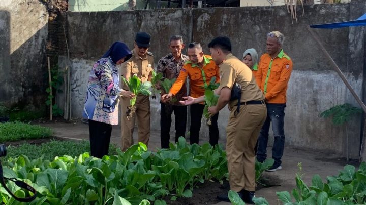 ketua tp pkk makassar