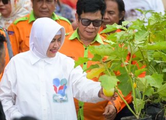 tp pkk kota makassar