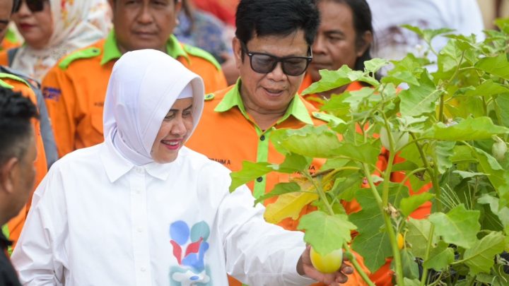 Ketua TP PKK Kota Makassar Apresiasi Perubahan Positif di Lorong Wisata Sydney tp pkk kota makassar
