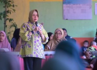 ketua tp pkk kota makassar