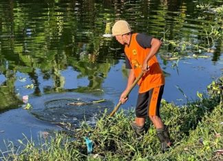 pjs wali kota makassar