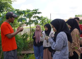 mahasiswa kalla institute