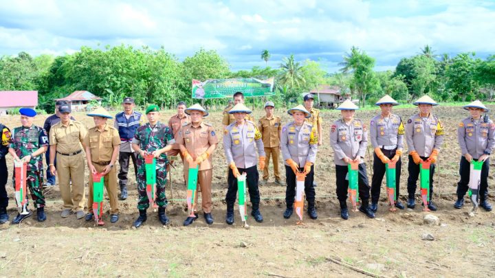 ketahanan pangan sulawesi selatan