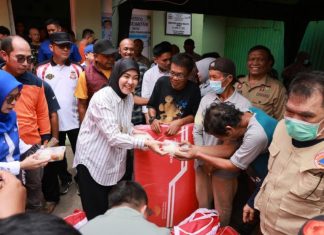 wakil wali kota makassar