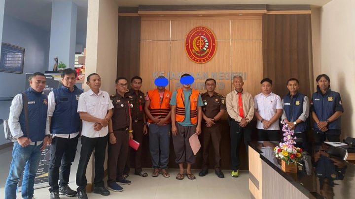 gakkum kehutanan