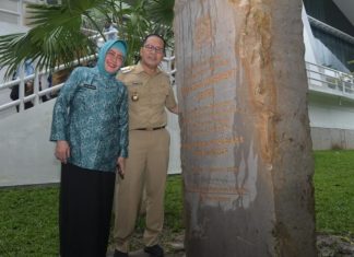 ketua tp pkk kota makassar