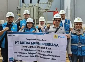 Pln