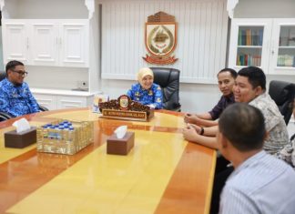 aliyah mustika ilham