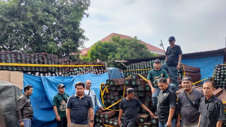 Gakkum Kehutanan Wilayah Sulawesi Tetapkan Direktur PT BCM Sebagai Tersangka Peredaran Hasil Hutan Secara Ilegal gakkum kehutanan