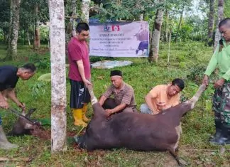 Dari Rantau untuk Butta Panrita Lopi: Jejak Kepedulian Warga KM Bulukumba Lewat Qurban Bersama KM Bulukumba
