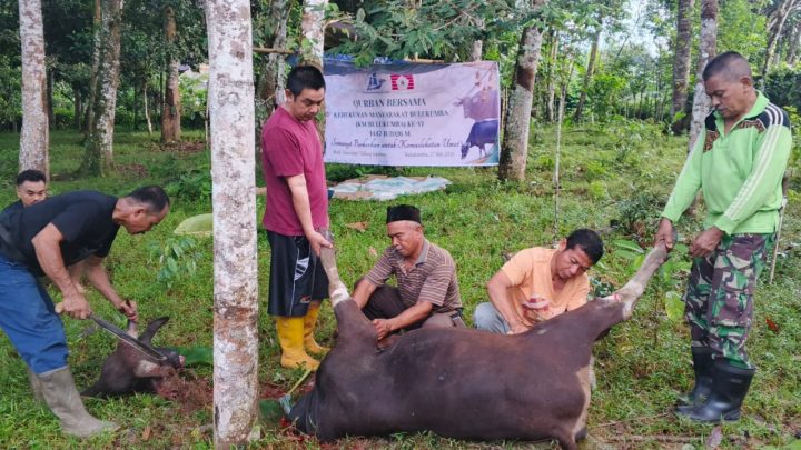 Dari Rantau untuk Butta Panrita Lopi: Jejak Kepedulian Warga KM Bulukumba Lewat Qurban Bersama KM Bulukumba