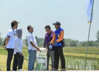 Pupuk Kaltim Perkuat Pendampingan Agrosolution Lewat Pemupukan Padi di Pojokrejo Jombang Pupuk Kaltim